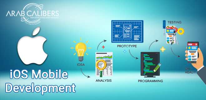 Developing Mobile Applications with iOS