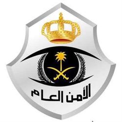 Saudi Public Security, MOI